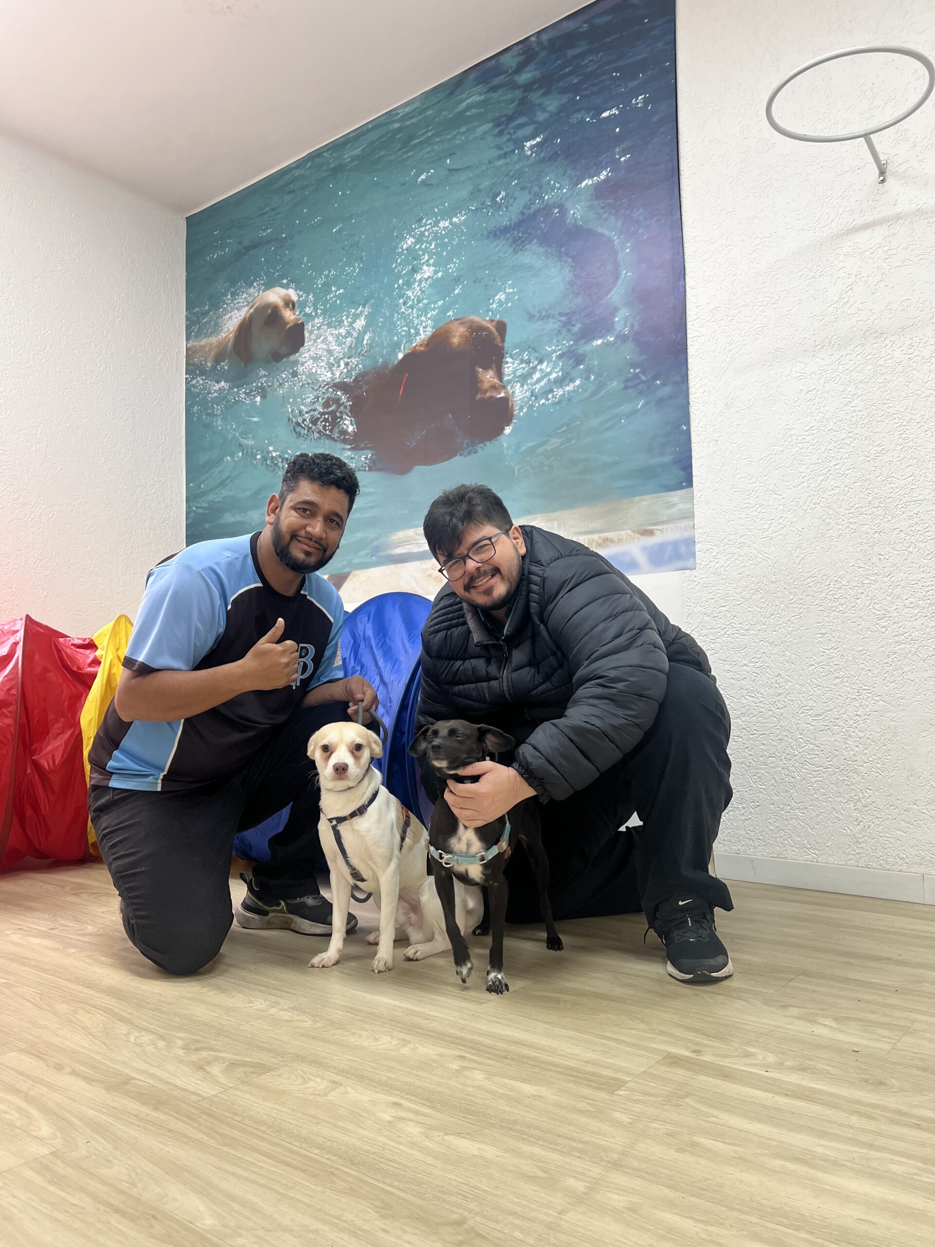 Thiago, da equipe Boss Pet Club, com um tutor e seus cães na creche
